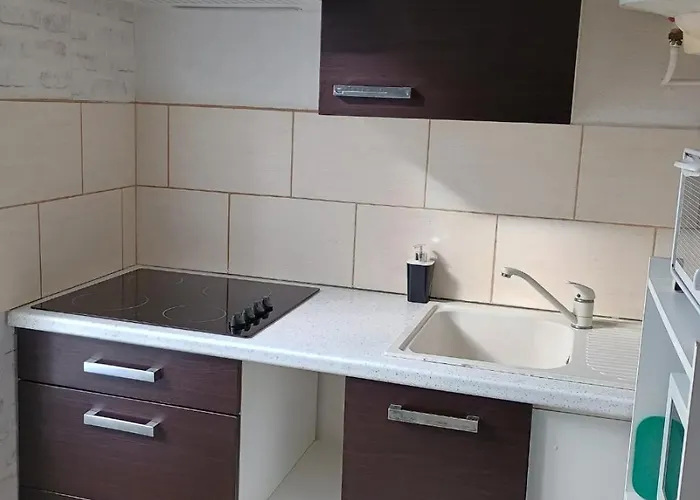 Apartamento Le Petit Duchon Vichy